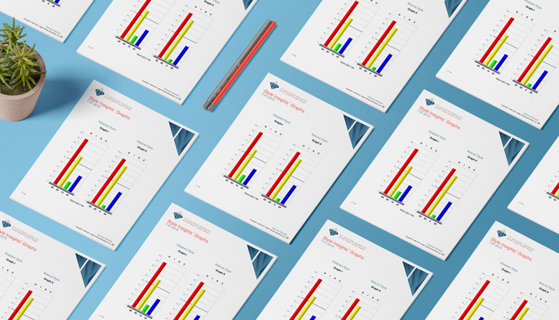 Всё о методике: типология и оценка личности DISC